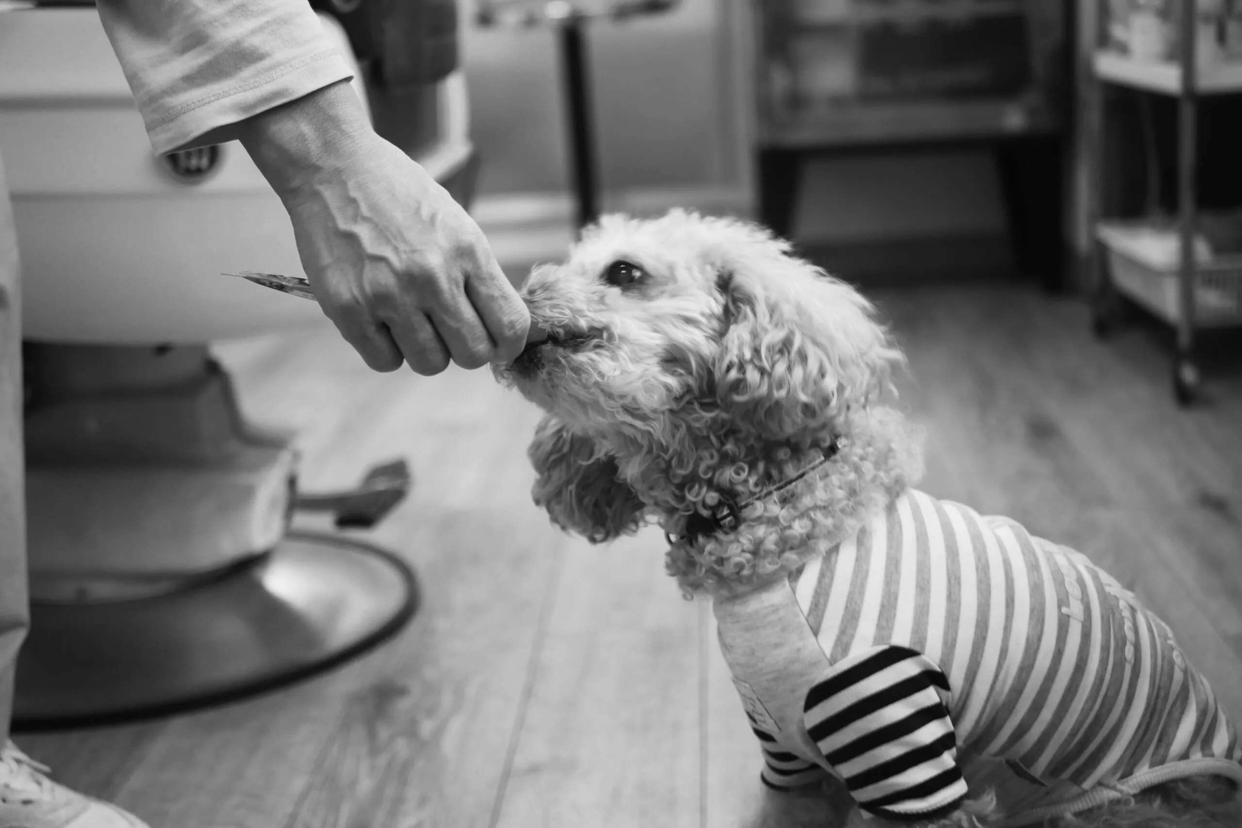 お客様へのメッセージ