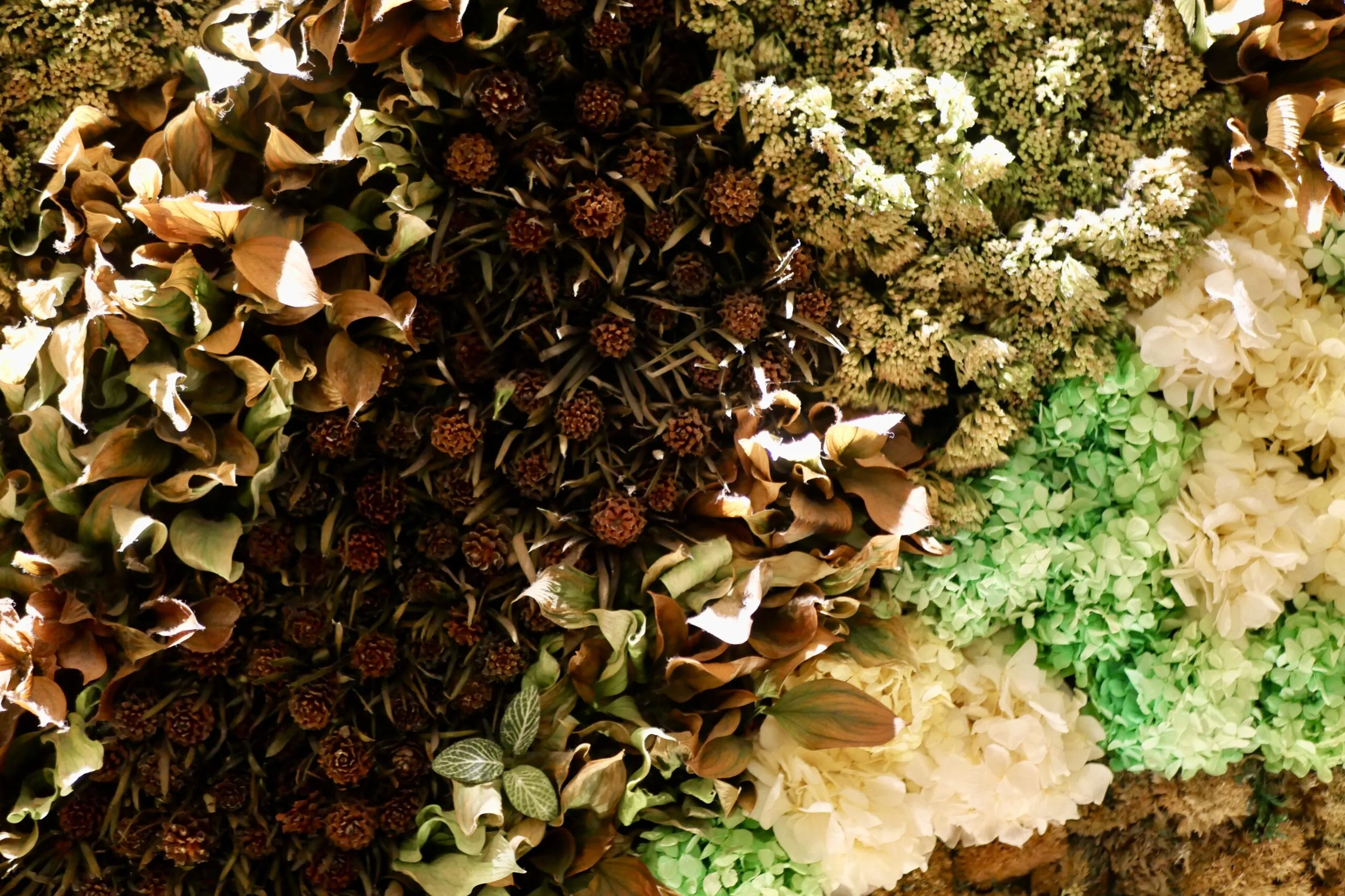 お客様へのメッセージ