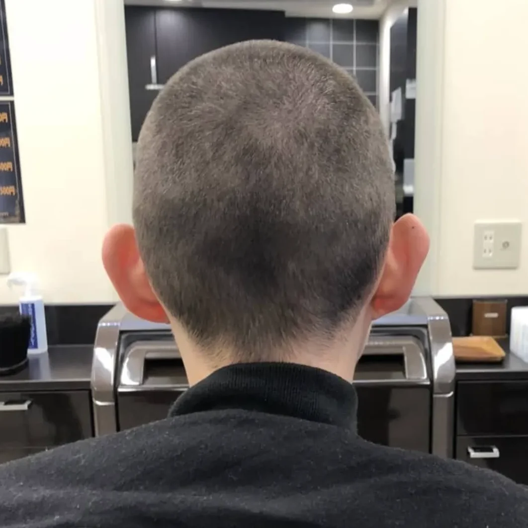 カット　6㍉ボーズ