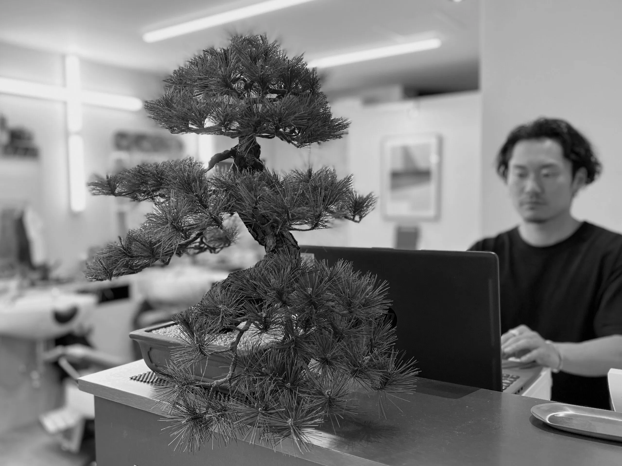 お客様へのメッセージ