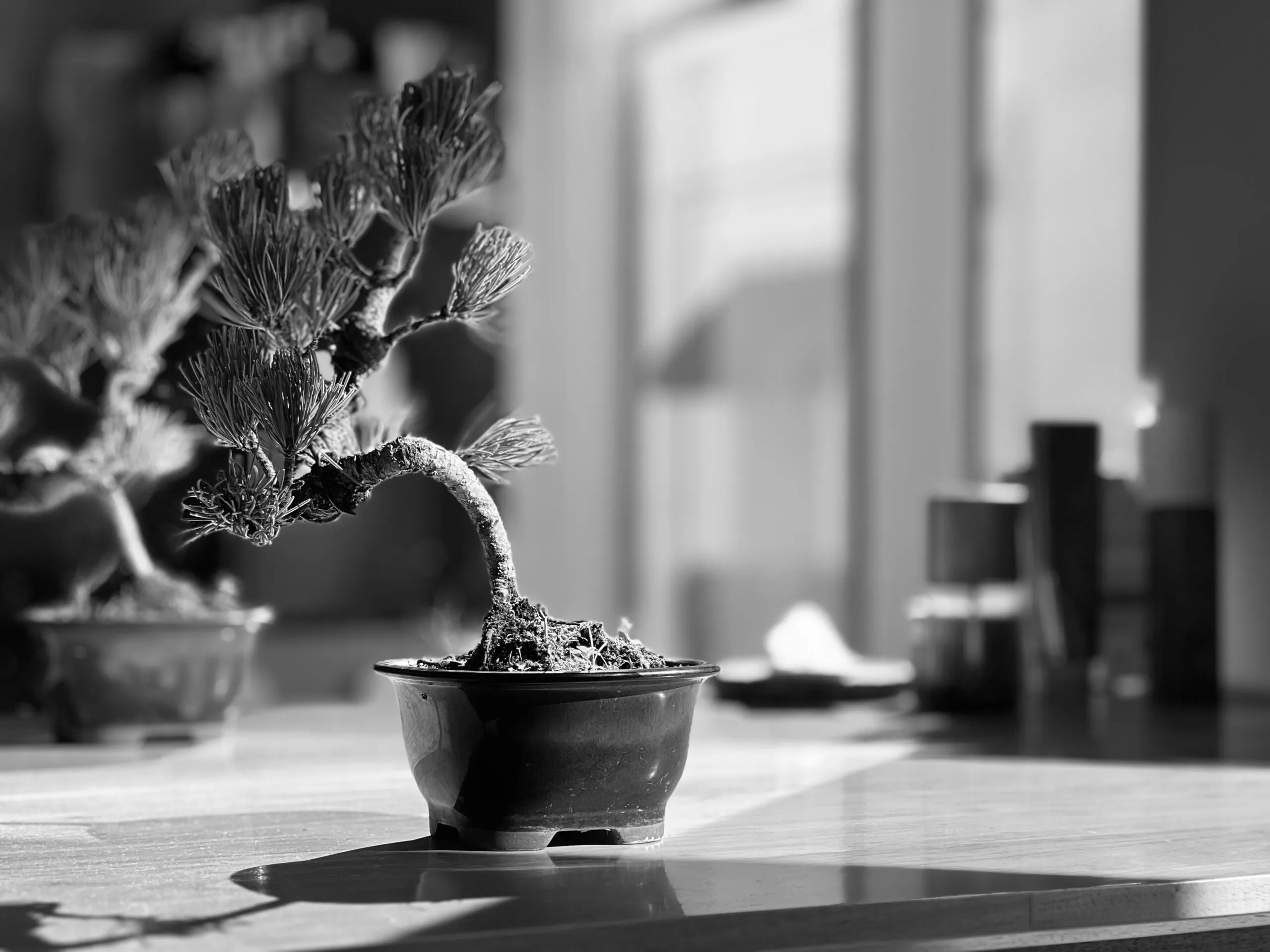 お客様へのメッセージ