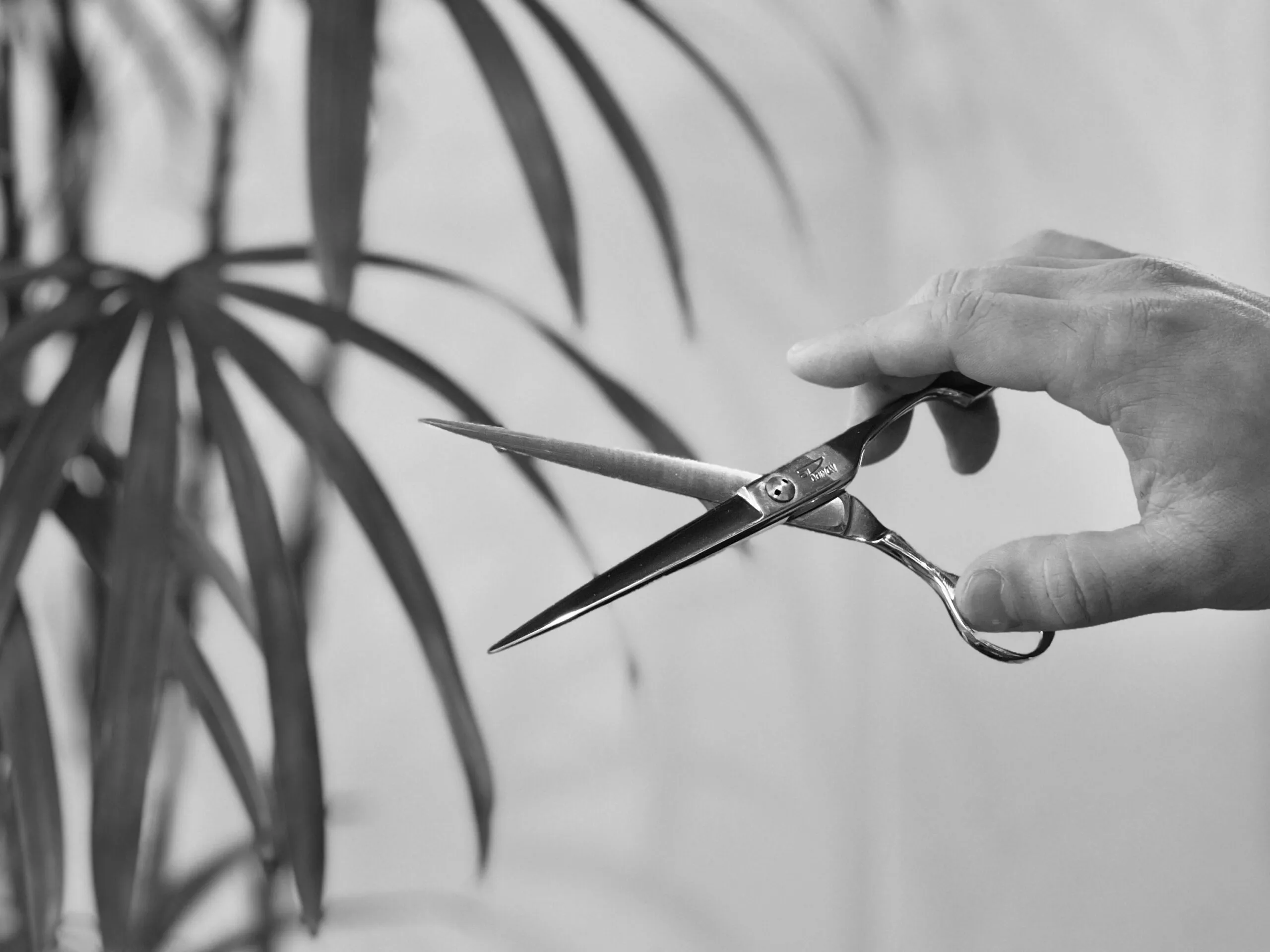 髪技理容師としてのこだわり