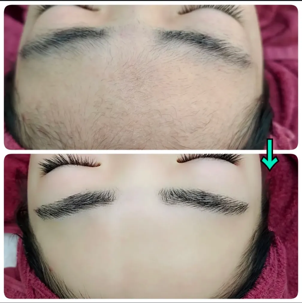 プラチナベーシックコース